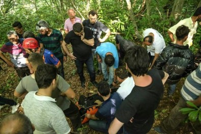 Çatalzeytin'de Arkadaşına Yardım Etmek İsterken Dereye Düşen Bir Kişi Hayatını Kaybetti