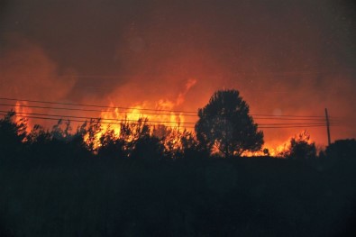 Datça'da Korkutan Yangın