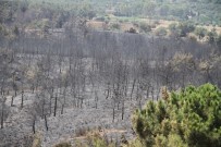 TATİL KÖYÜ - Datça'da Yangının Neden Olduğu Zarar Gün Ağarınca Ortaya Çıktı