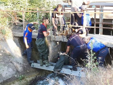 Malatya'da Otomobil Sulama Kanalına Uçtu Açıklaması 1 Ölü, 2 Yaralı
