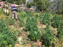 Mersin'de Uyuşturucu Operasyonu Açıklaması 5 Gözaltı Haberi