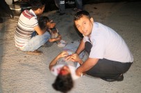Adana'da Feci Kaza Açıklaması 1 Ölü, 2'Si Çocuk  7 Yaralı