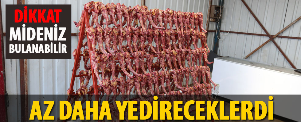 Mide bulandıran olay!