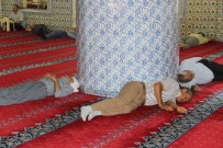 BALıKLıGÖL - Şanlıurfa'da Oruç Tutan Vatandaşlar Serinlemek İçin Doğal Yolları Kullanıyor