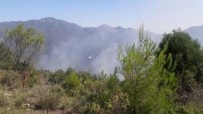 Antalya Gündoğmuş'ta Orman Yangını Haberi