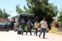 ÖNCÜPINAR - Suriyelilerin Türkiye'ye Dönüşü Sürüyor