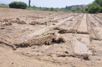 MUHTARLIKLAR - Yenipazar'da Çiftçinin Zararı Tespit Edilecek