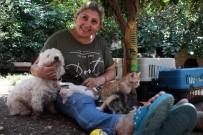 TEMYIZ - Evinde Yüzü Aşkın Kedi Ve Köpek Besleyen Kadın Mahkemelik Oldu