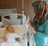 CÜZDAN - Tedavi Parası Çalındı !