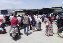 ZEKAT - Aydın'a Bir Anda Dilenci Yağdı