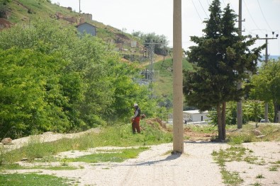 Dinar'da Yabani Ot Temizlik Çalışmaları Devam Ediyor