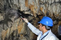 Dünya Çevre Günü'nde Diş Fırçalarıyla Mağara Temizlediler