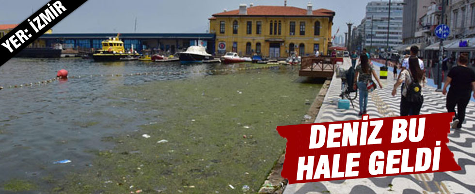 İzmir Kordon boyunda şoke eden görüntü