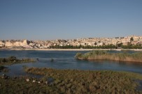 AYNALı SAZAN - Karkamış Sulak Alanı Turizme Açılıyor