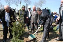 DÜNYA ÇEVRE GÜNÜ - Keskin 'Çevre Sahip Çıkarsak Geleceğimize Sahip Çıkarız'