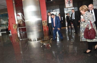 Kılıçdaroğlu, Almanya Dışişleri Bakanı Gabriel'le Bir Araya Geldi