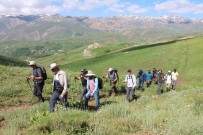 KANDILLI - Yüksekova Dağları Ziyaretçilerini Bekliyor