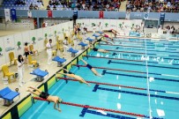 TÜRKİYE YÜZME FEDERASYONU - Havuzdan 49 Madalya Çıktı