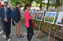 GIDA TARIM VE HAYVANCILIK BAKANLIĞI - Sinop'ta 'Tarım Ve İnsan' Konulu Fotoğraf Sergisi