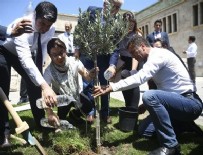 ORHAN SARIBAL - CHP'liler Meclis bahçesine zeytin fidanı dikti
