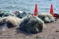 İSRAİL SAZANI - İznik Gölü'nde Kaçak Avlananların Ağlarına El Konuldu