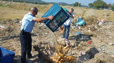 Balıkesir'de Sinek İlacı Bulaşan 250 Ekmek İmha Edildi