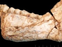 Fas'ta 300 bin yıllık insan kalıntısı bulundu