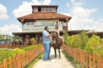 ÜSTÜN ZEKALI - Keçiören'de Dolu Dolu Bir Yaz Geçirecekler