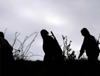 DİYARBAKIR VALİLİĞİ - Askerleri gören teröristler silahlarını bırakıp kaçtı