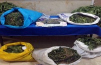 Elazığ'da 22 Kilo Esrar İle 46 Bin Kök Kenevir Ele Geçirildi
