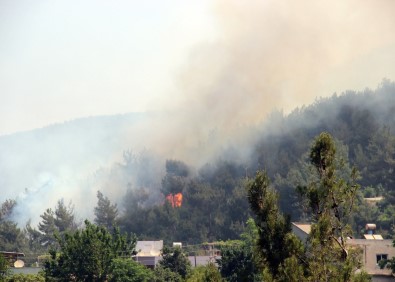 Hatay'da Terör Saldırısı