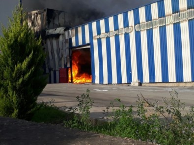Osmaniye'de Kağıt Fabrikasında Yangın