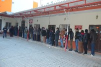 Viranşehir'de İhtiyaç Sahibi Ailelere Nakdi Ve Gıda Yardımı