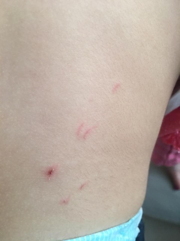 2,5 yaşındaki kızın kreşte darp edilme anı kamerada