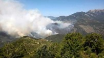 Anamur'da Orman Yangını