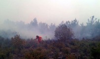 Anamur'daki Orman Yangını, Şiddetli Rüzgar Nedeniyle Kontrol Altına Alınamıyor