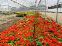 MÜHENDİSLER ODASI - Başaklar Diyarı Kayyum İle Hayat Buldu