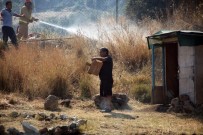 Bodrum'da Yangın Yerleşim Alanlarına Doğru İlerliyor