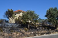 ELEKTRİK TRAFOSU - Didim'de Makilik Yangını Korkuttu