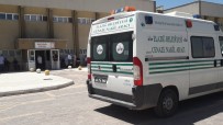 Elazığ'da Trafik Kazası Açıklaması 1 Ölü Haberi