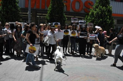 Hayvanları Koruma Kanunundaki Değişiklik Tasarısı Protesto Edildi