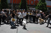 BİLİMSEL DENEY - Hayvanları Koruma Kanunundaki Değişiklik Tasarısı Protesto Edildi