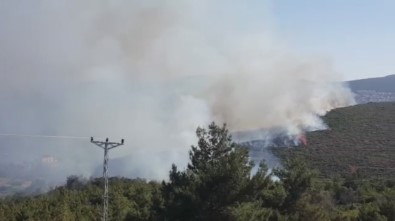İzmir'de ikinci orman yangını