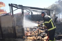 NAZMI GÜNLÜ - Manavgat'ta çıkan yangında 550'ye yakın hayvan telef oldu