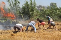 YÜKSEK GERİLİM - Manavgat'ta Kopan Yüksek Gerilim Hattı Yangın Çıkardı