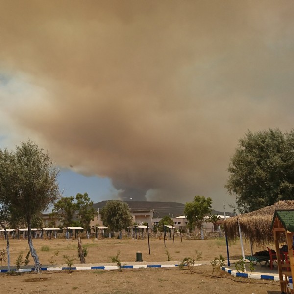İzmir'de makilik alanda yangın