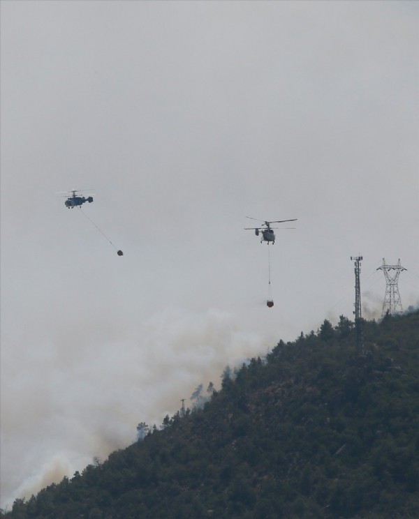 İzmir'de makilik alanda yangın