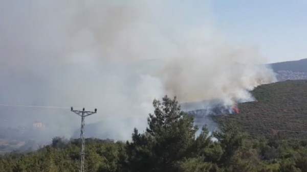 İzmir'de ikinci orman yangını