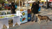 MUHTARLIKLAR - Büyükşehir'den 'Sakın Dökmeyin' Kampanyası
