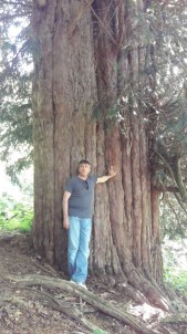 Türkiye'nin En Yaşlı Dünyanın 4. Yaşlı Ağacının Tanıtımını Vali Çınar Yapacak